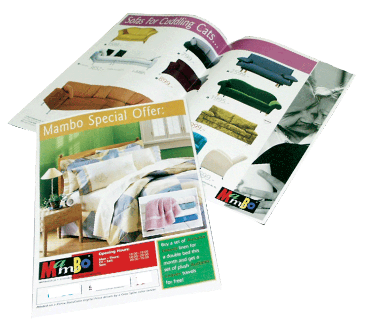 Vancouver Color Printing .com Cheapest 1-3 Days Fast Brochure Printing in Vancouver